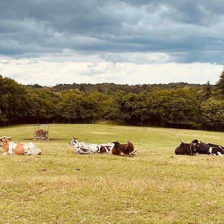 Ferienwohnung Escapade Dans Un Ranch Le Sourn Exterior foto