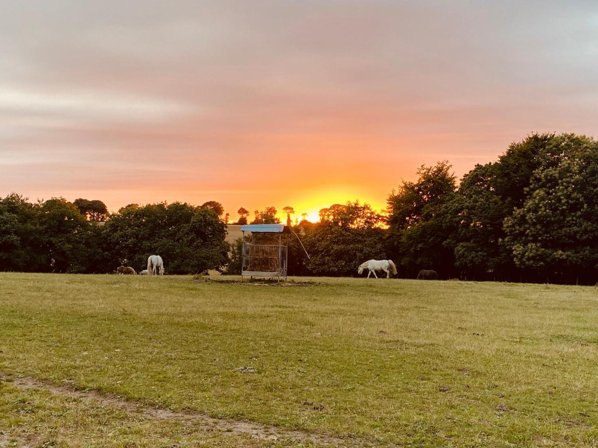 Ferienwohnung Escapade Dans Un Ranch Le Sourn Exterior foto